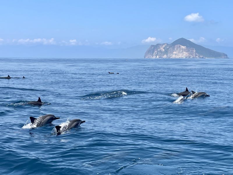 ：龜山島三合一行程，海上生態探秘