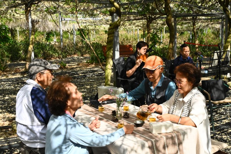 武陵四季藝文樂章與森林療育慢旅