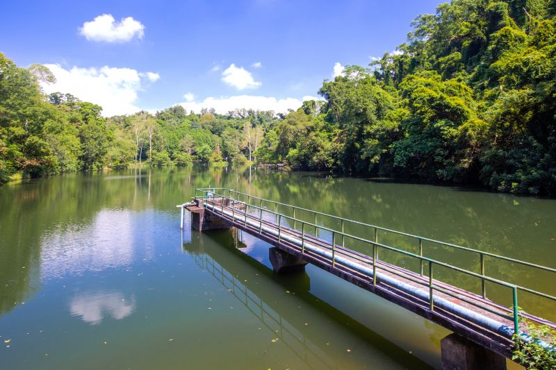 探索北橫後慈湖與石門水庫小旅行