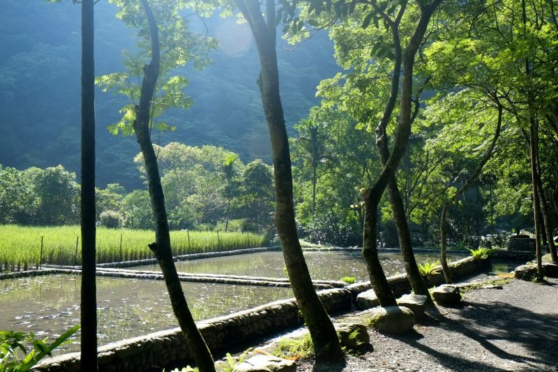 山海農村趣，樂活永續低碳一日遊